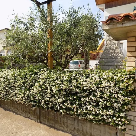 Leporiz Apartamento